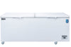 Dukers BD/BG-520 solid lid chest freezer