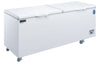 Dukers BD/BG-620 solid lid chest freezer